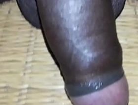Asian and black beauty gets naked and gets cum on her hairy pussy