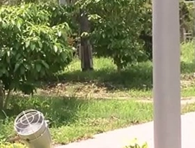 Brutal homosexual porn
