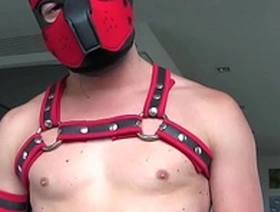 HOT GAYPUP RUSH!